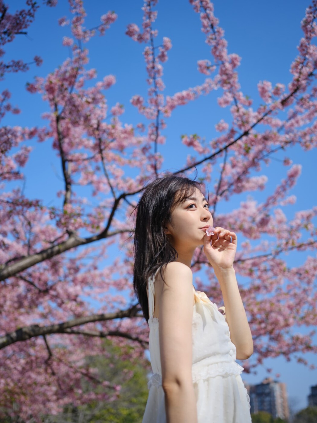 YiTuYu艺图语 Vol.1293 Fei Niao Gu Gu
