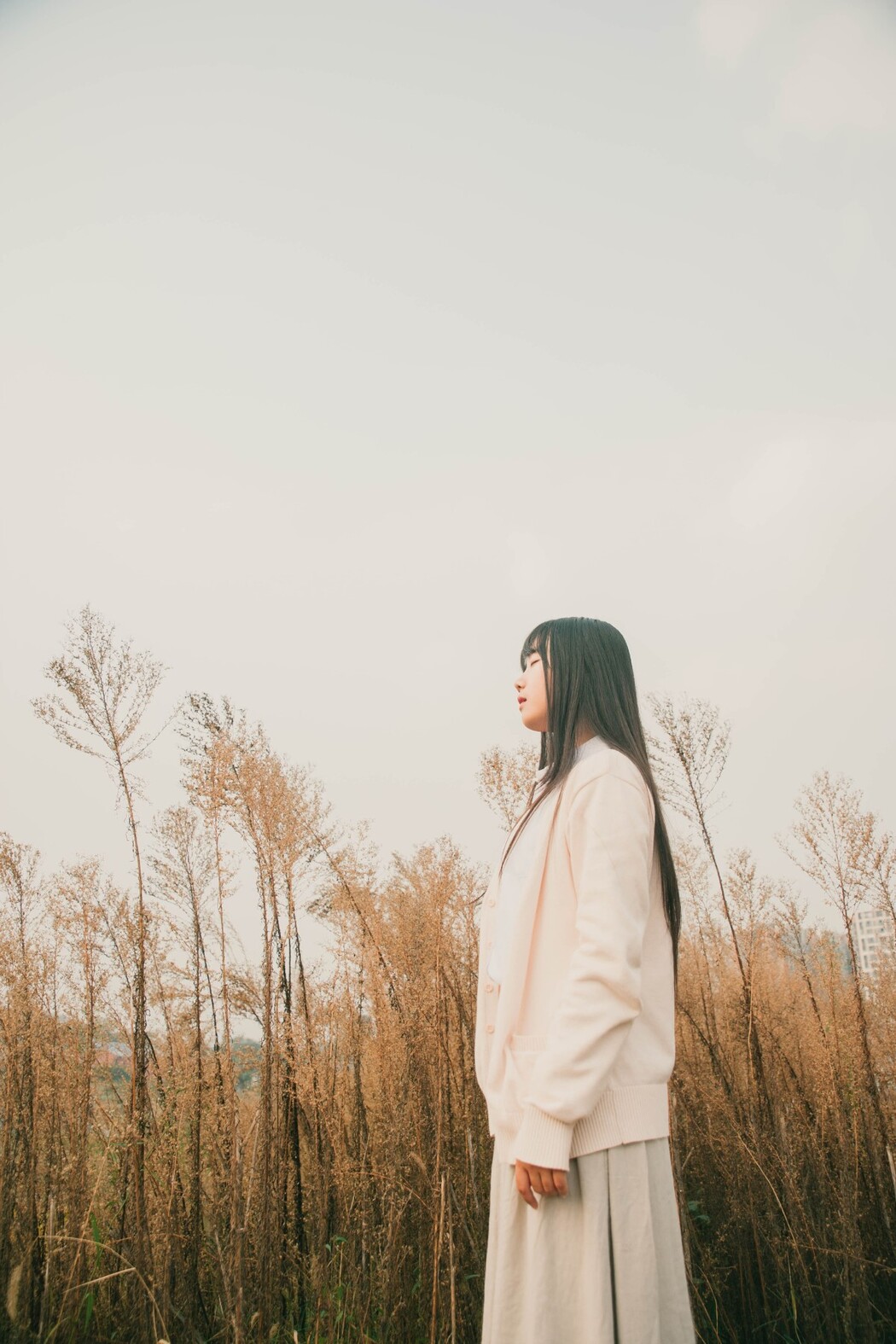 YiTuYu艺图语 Vol.1384 Zi Qing