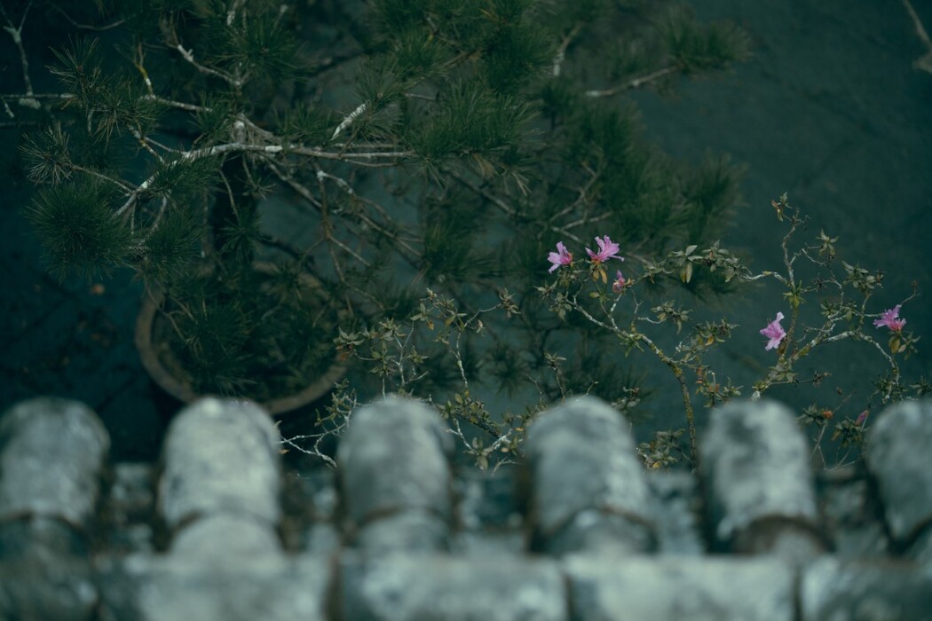 YiTuYu艺图语 Vol.1310 Huai Zhi