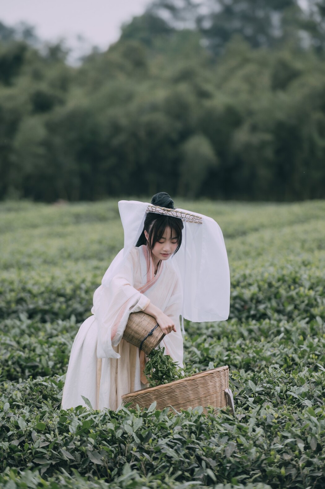 YiTuYu艺图语 Vol.1341 Ceng Fan