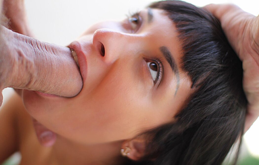 Close Up Blowjob Porn