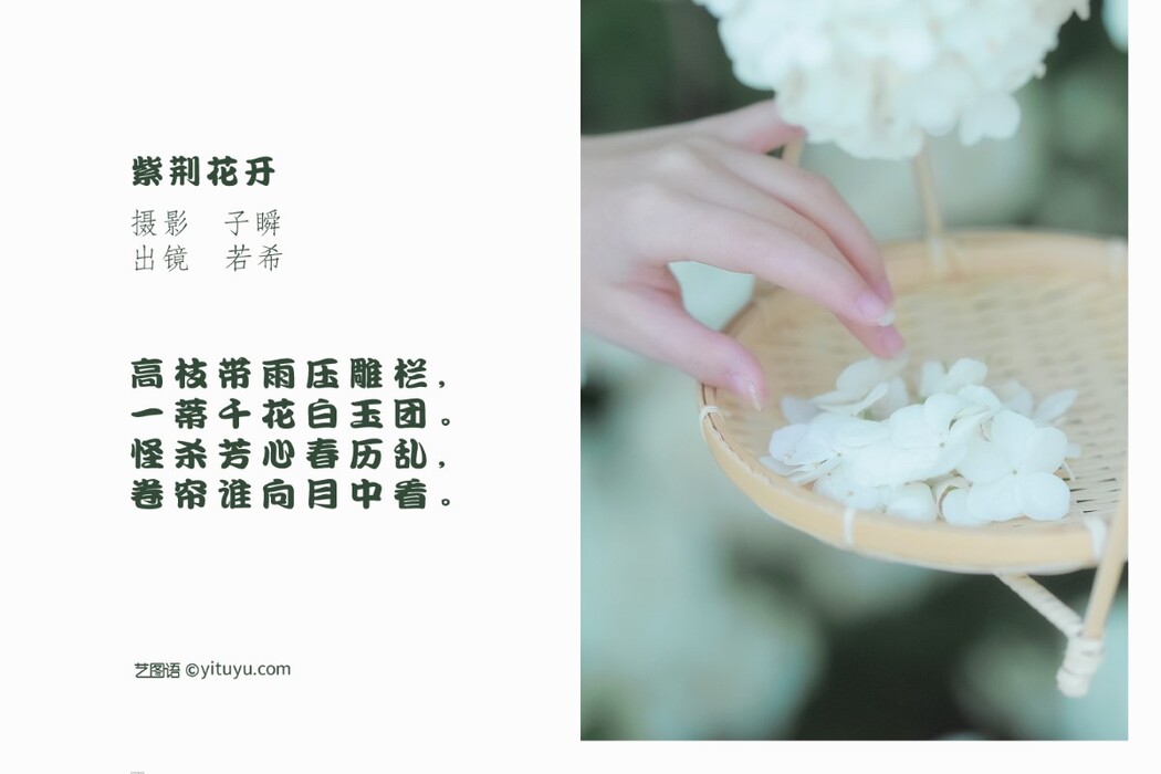 YiTuYu艺图语 Vol.1426 Ruo Nozomi icy