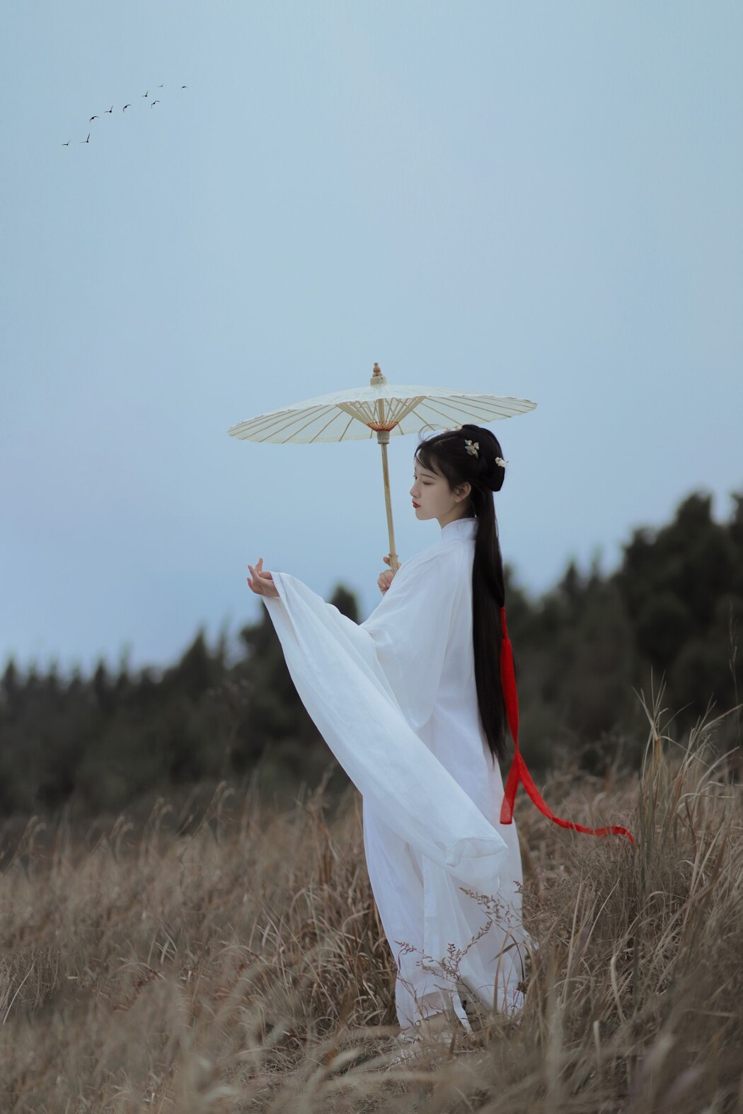 YiTuYu艺图语 Vol.1421 Ban Xia Xia Xia