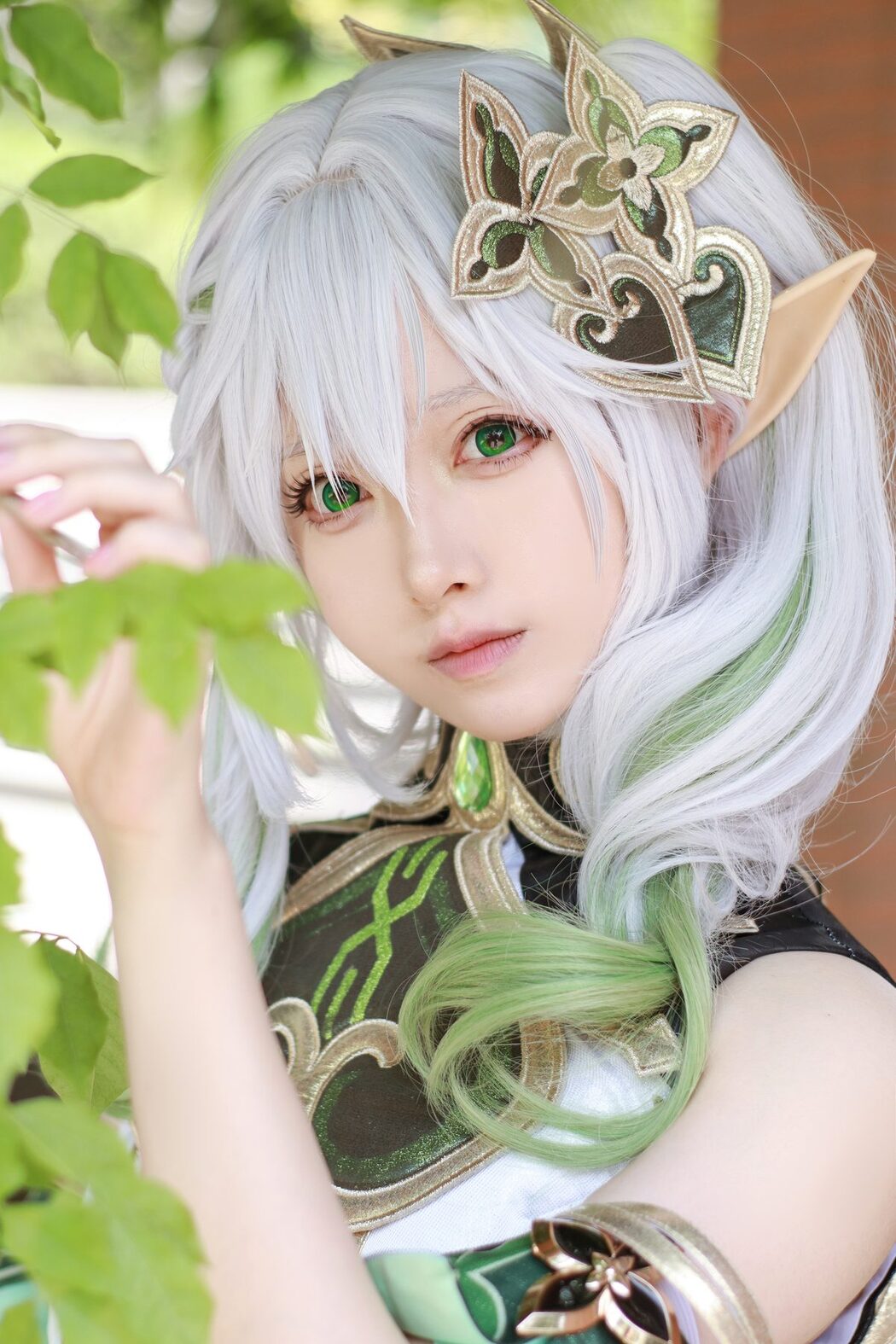 Patreon Asagiriai 愛ちゃん – 纳西妲