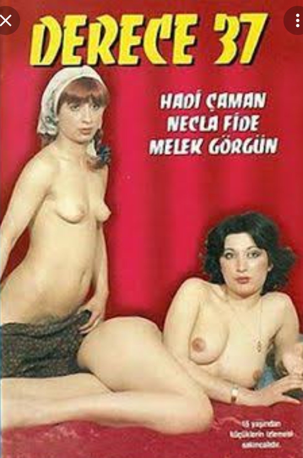 Yesilcam Erotic