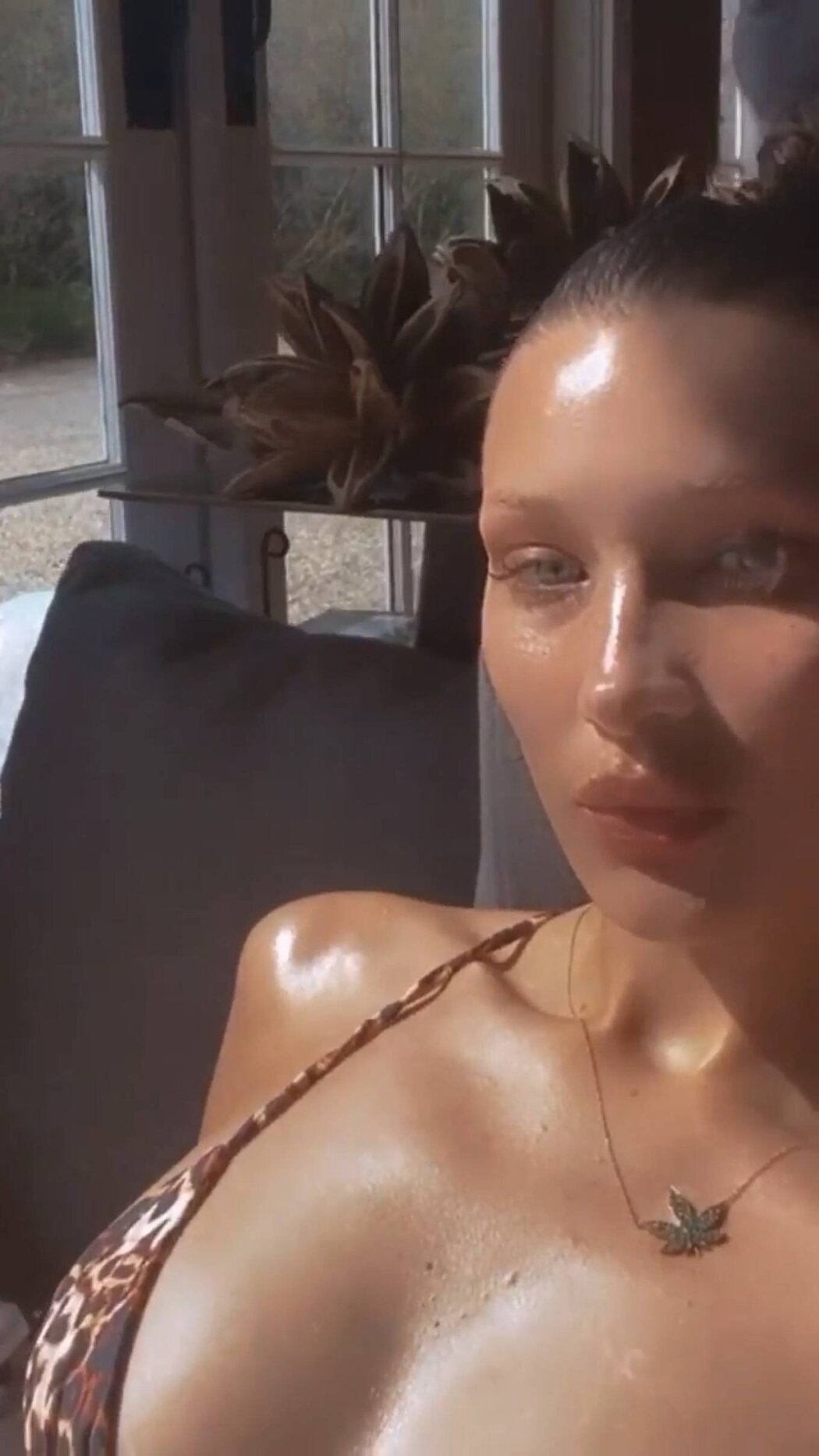 Bella Hadid Hot