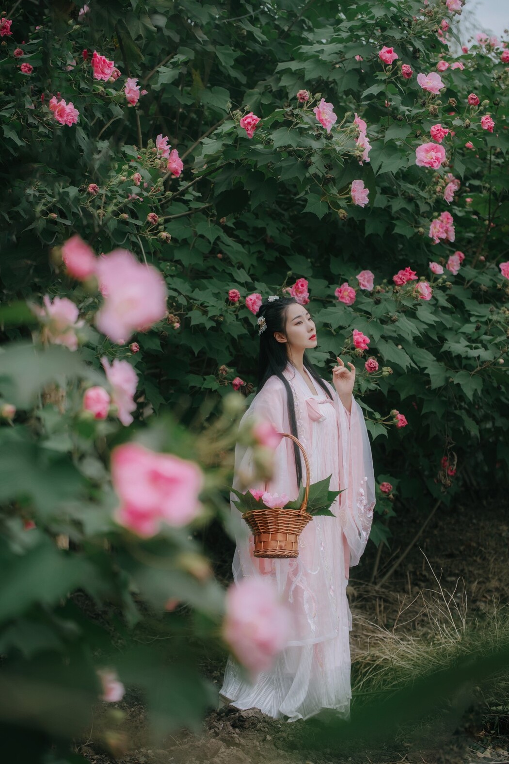 YiTuYu艺图语 Vol.1525 Mu Jing Shu