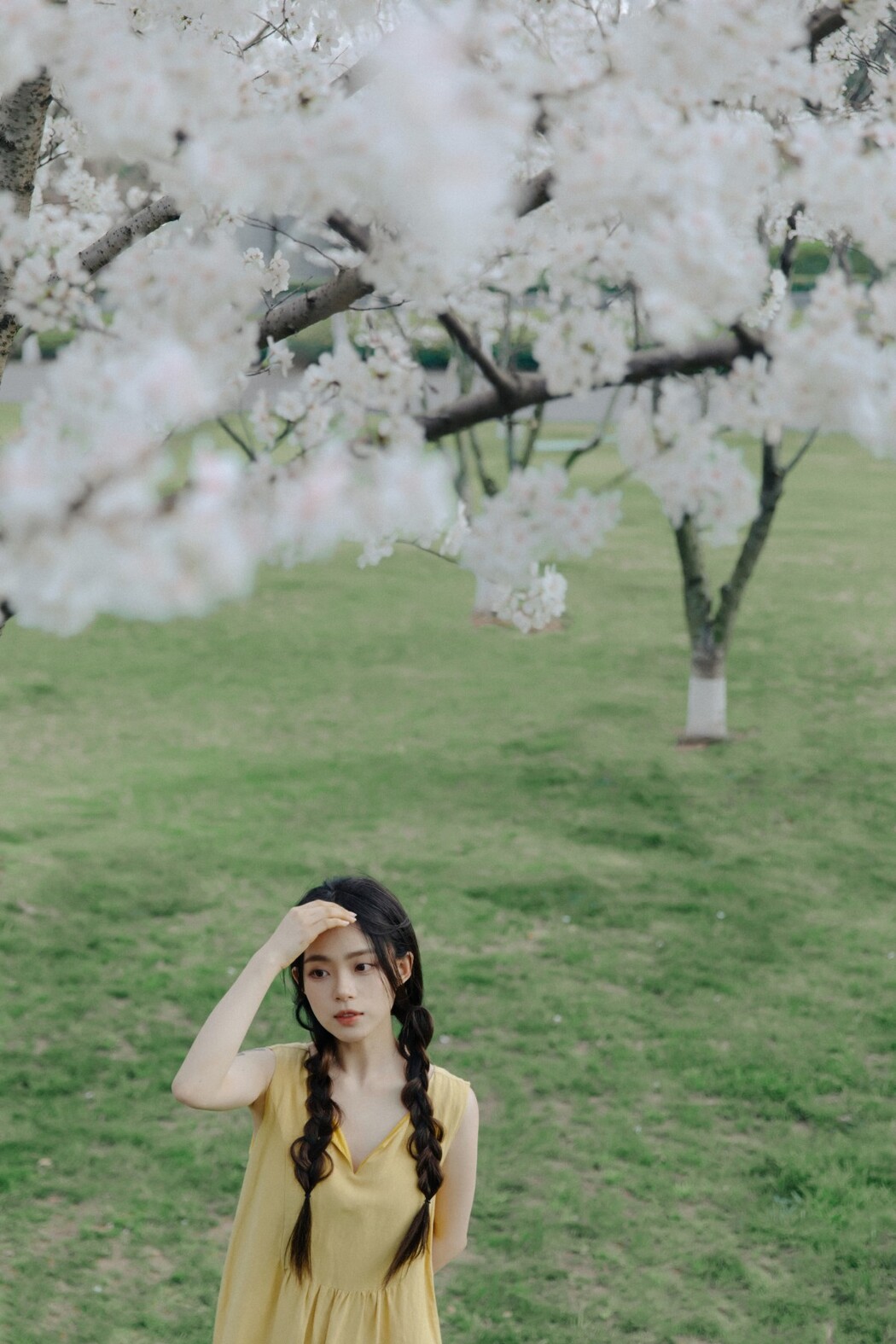 YiTuYu艺图语 Vol.1513 Jiu Ma MAA
