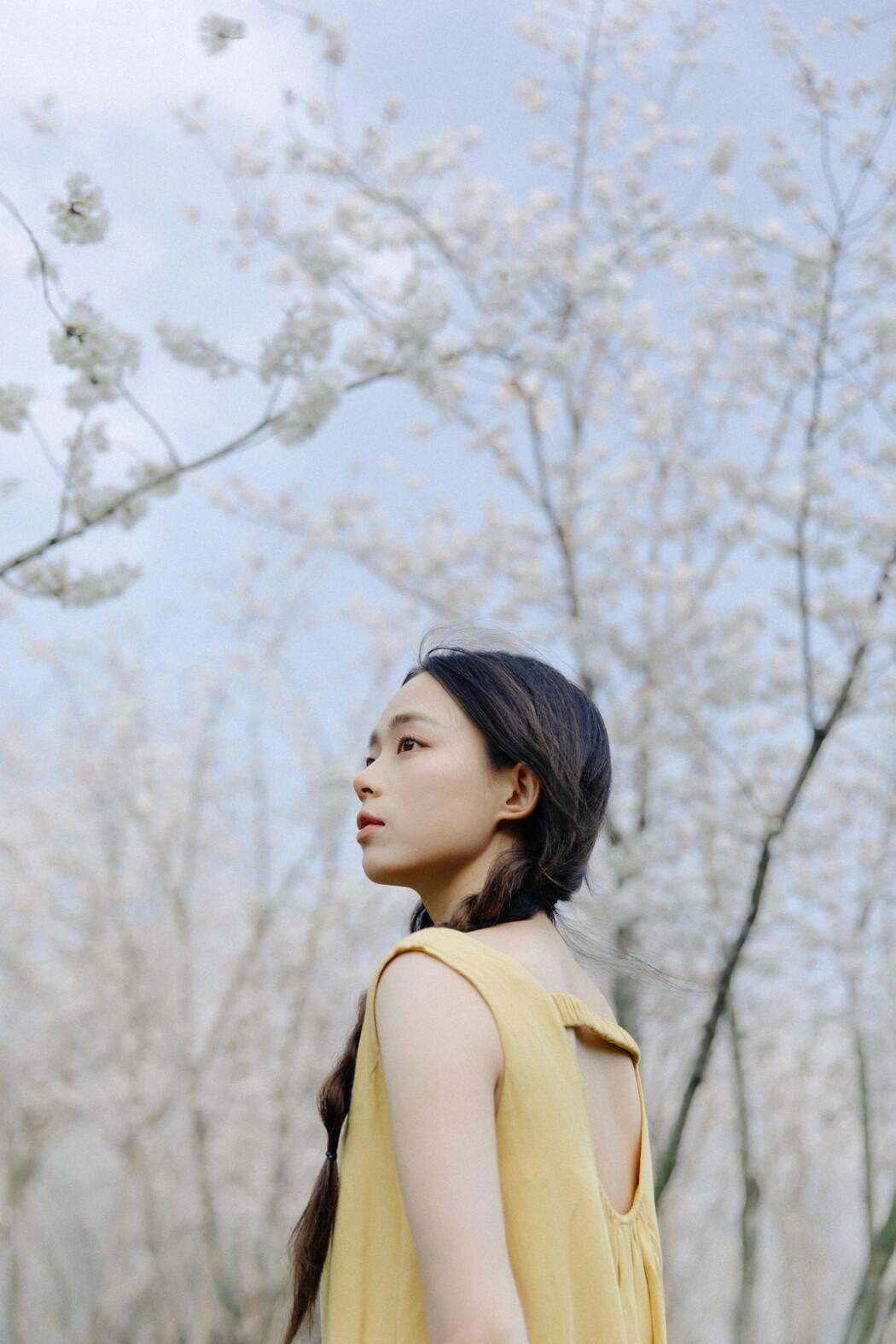 YiTuYu艺图语 Vol.1513 Jiu Ma MAA