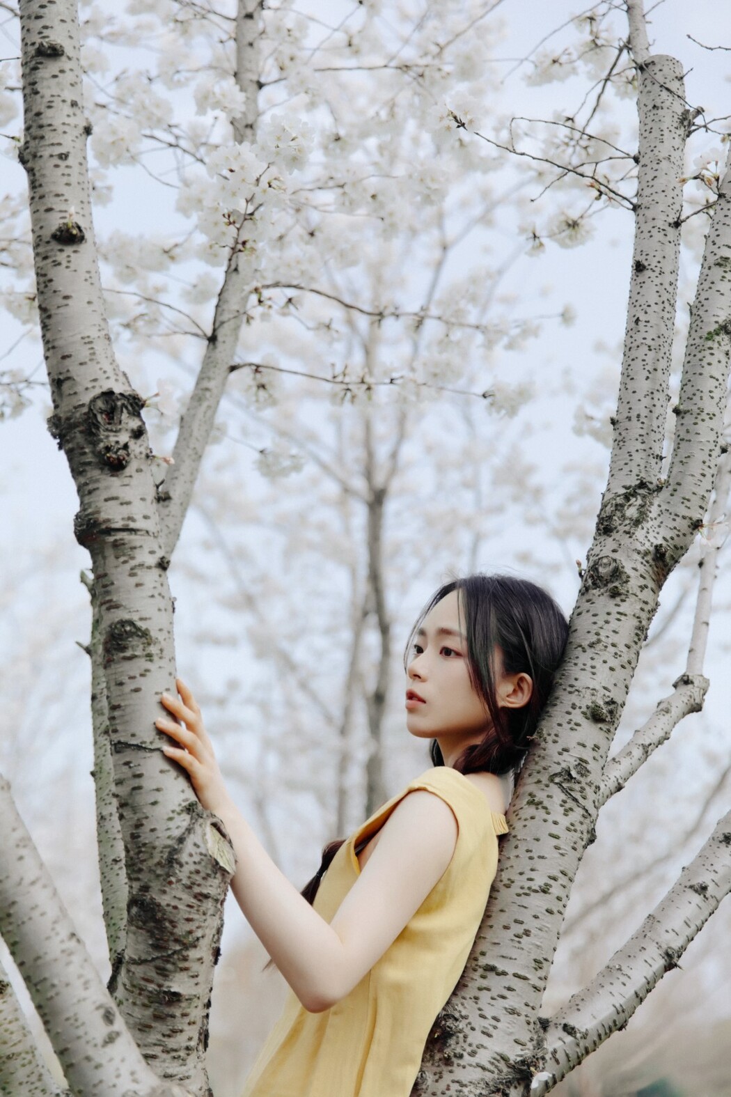 YiTuYu艺图语 Vol.1513 Jiu Ma MAA