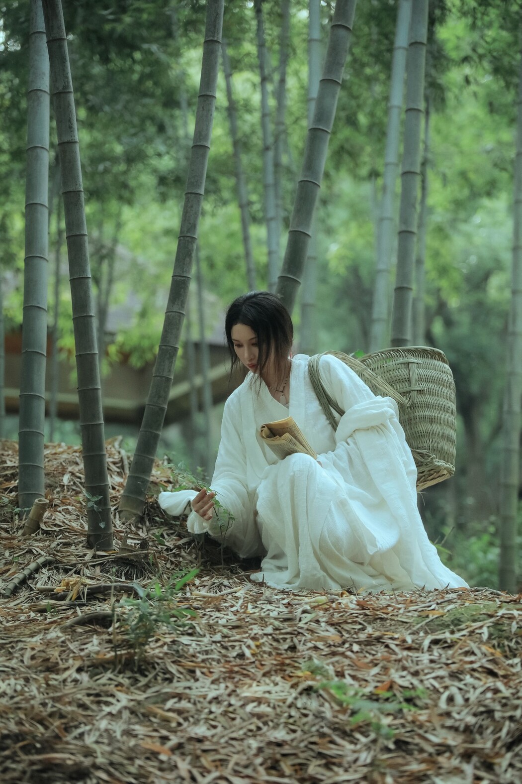 YiTuYu艺图语 Vol.1551 A Yan Zhi