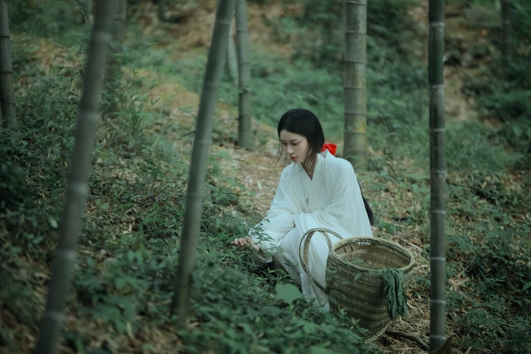 YiTuYu艺图语 Vol.1551 A Yan Zhi