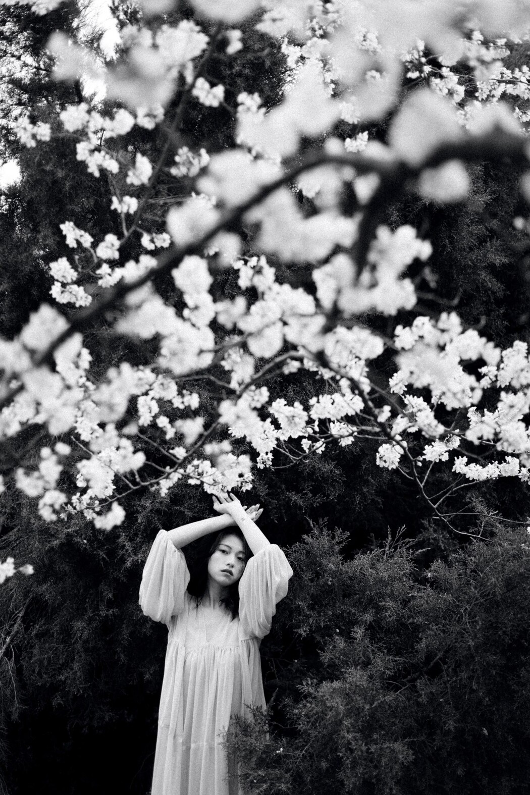 YiTuYu艺图语 Vol.1488 Jiu Yue