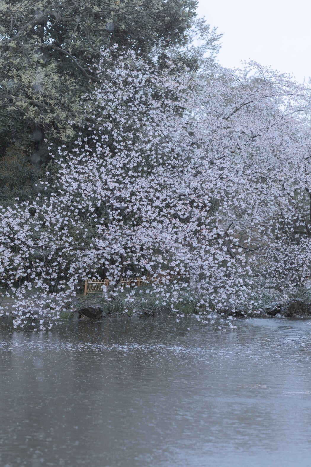 YiTuYu艺图语 Vol.1470 Mou Xiao Yao