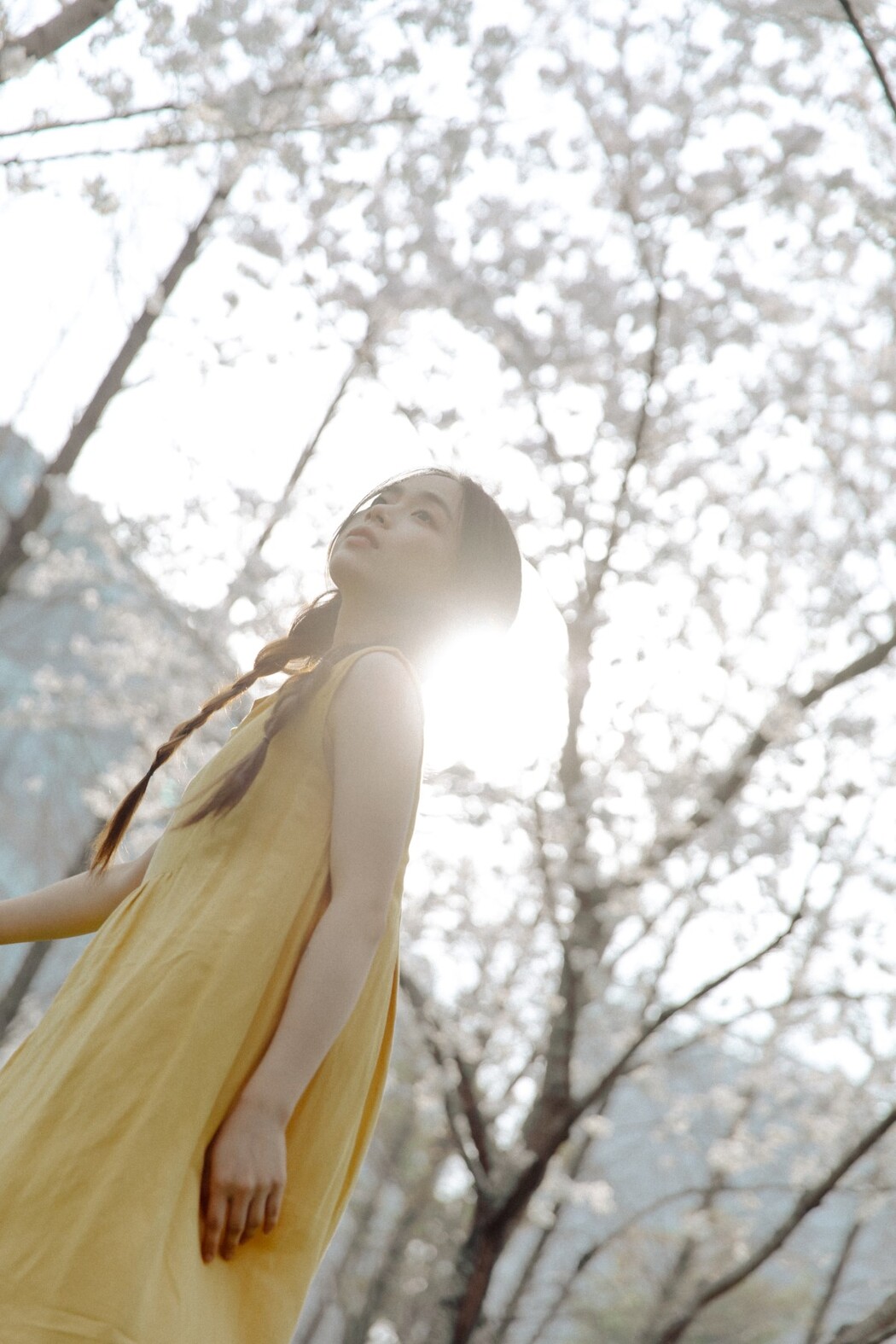 YiTuYu艺图语 Vol.1513 Jiu Ma MAA