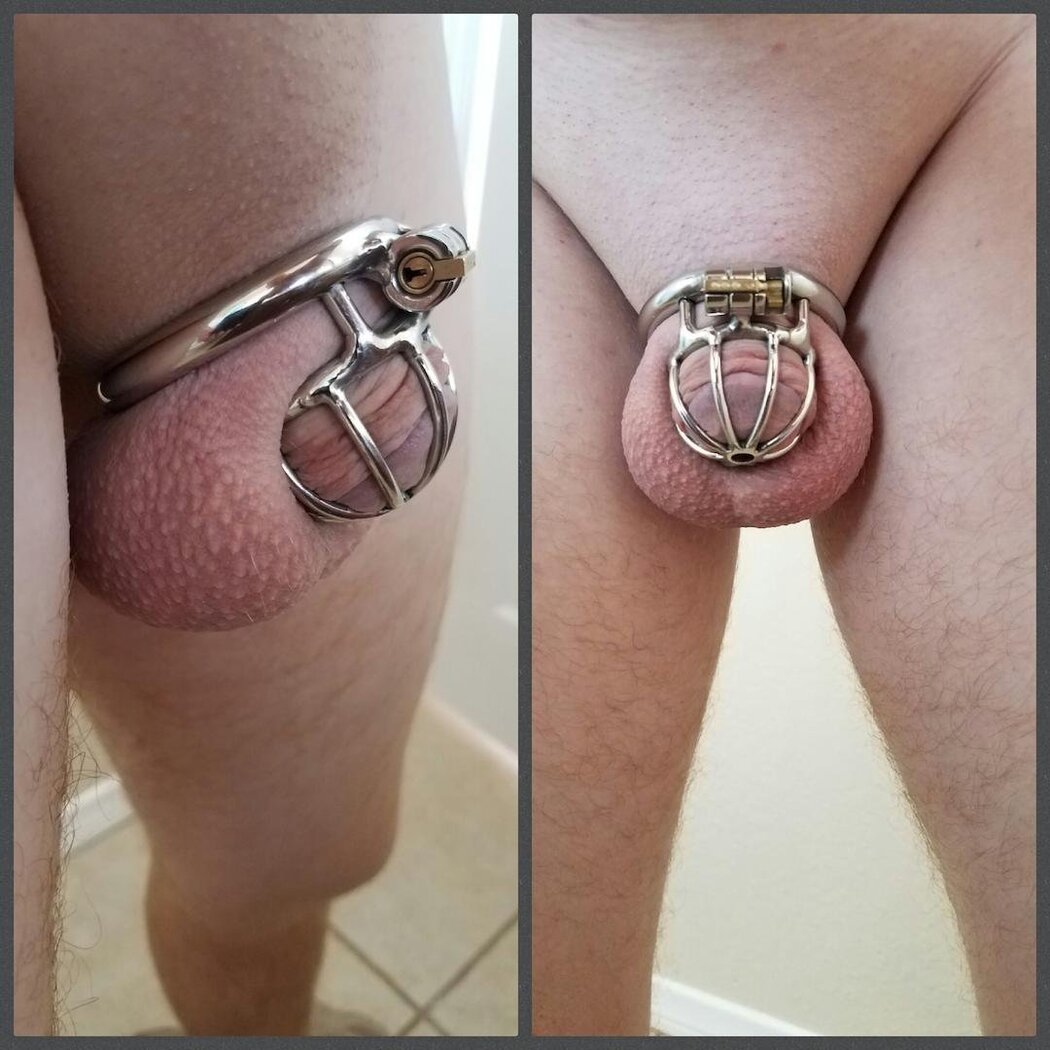 Chastity Bdsm