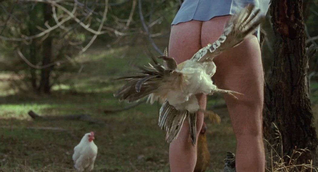 Chicken Porn Cover Photo