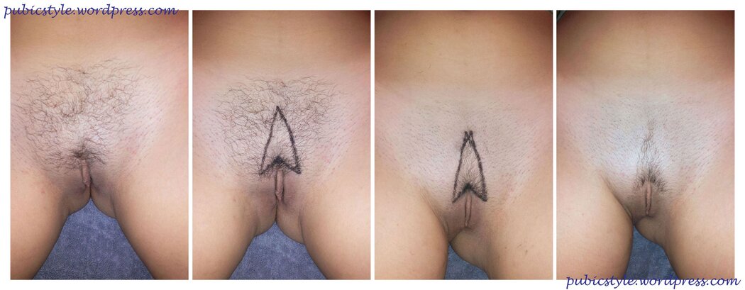TrimMed Pubes In Porn