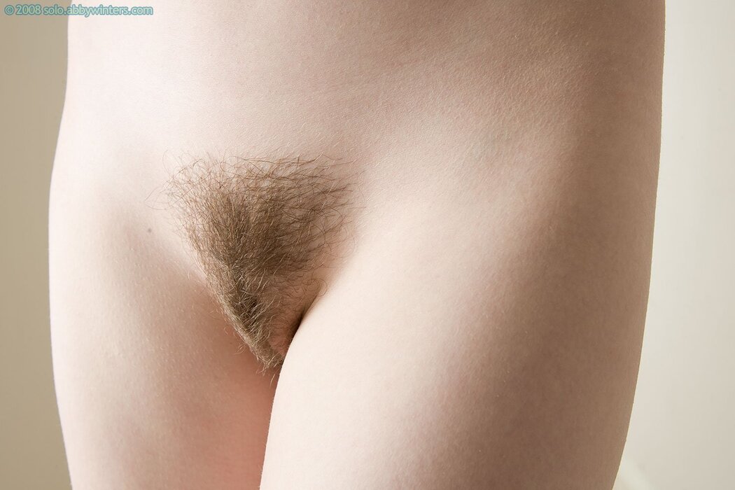 TrimMed Pubes In Porn