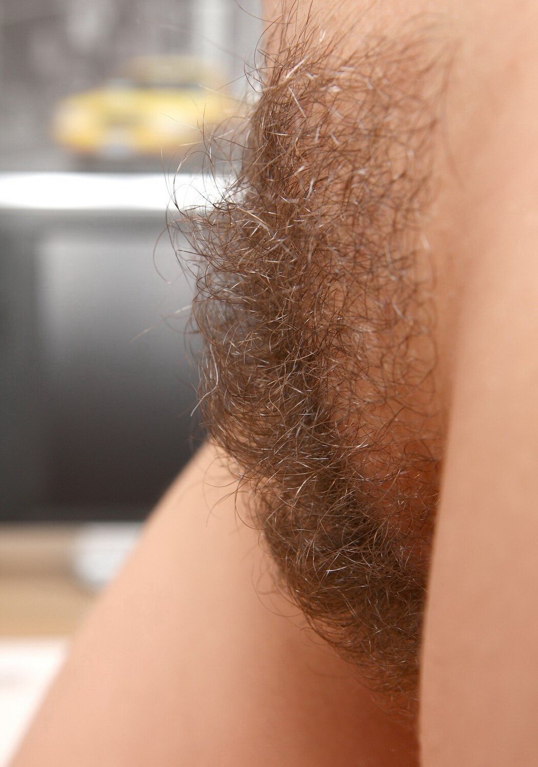 TrimMed Pubes In Porn