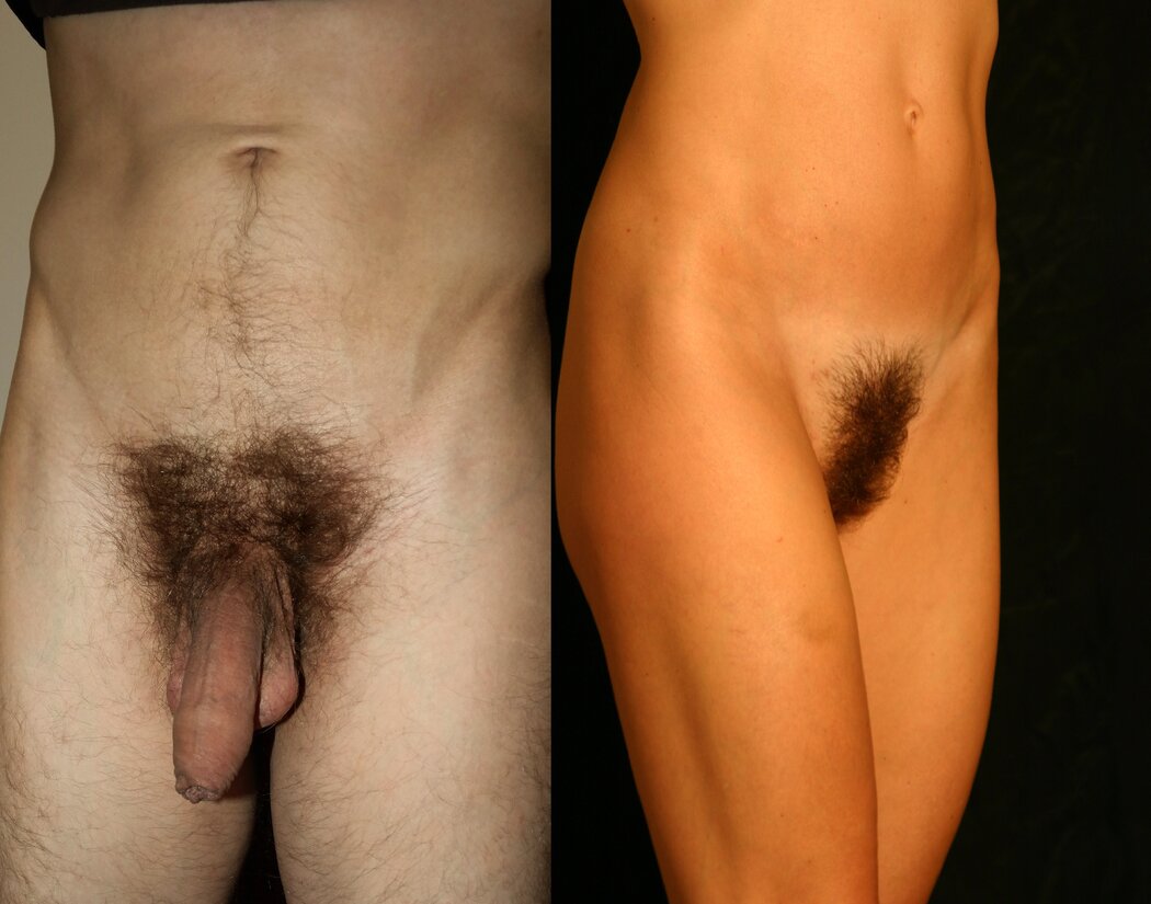 TrimMed Pubes In Porn
