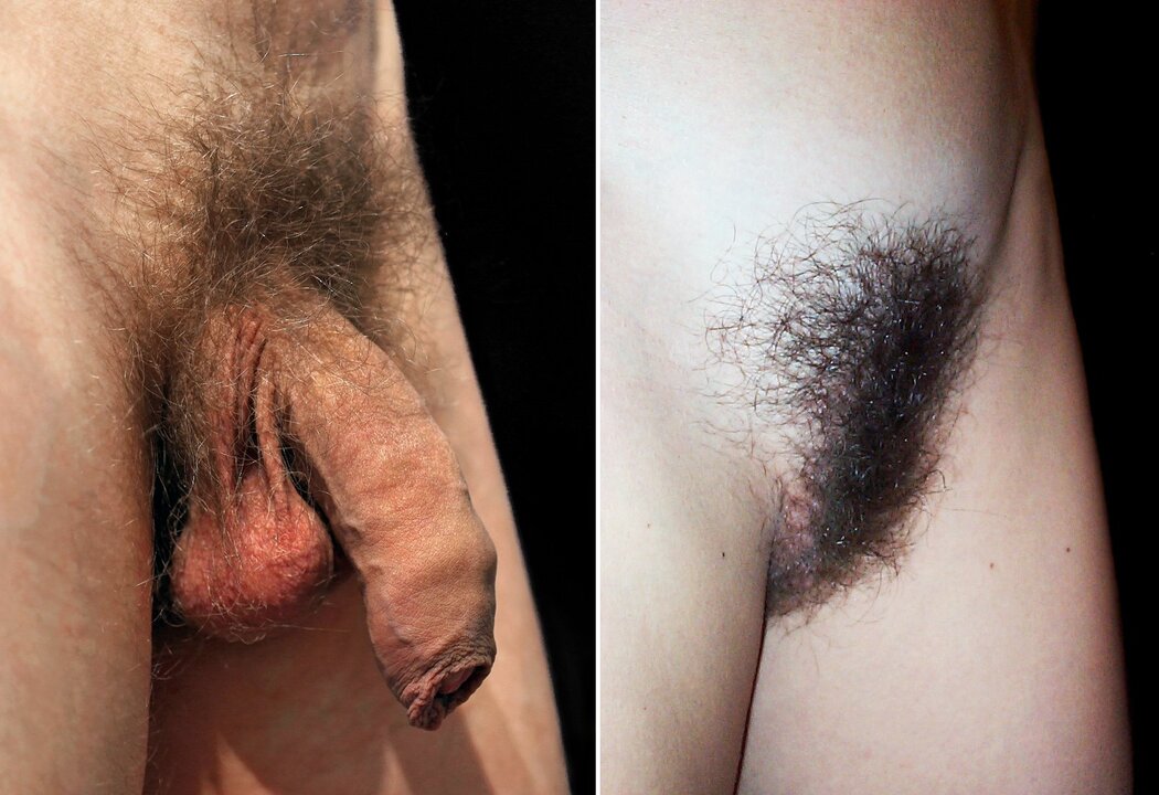 TrimMed Pubes In Porn