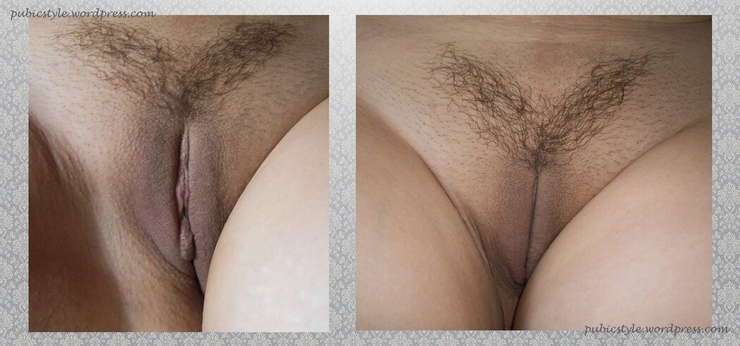 TrimMed Pubes In Porn