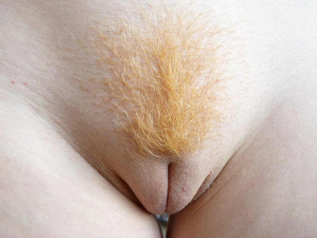Puffy Pubes In Porn