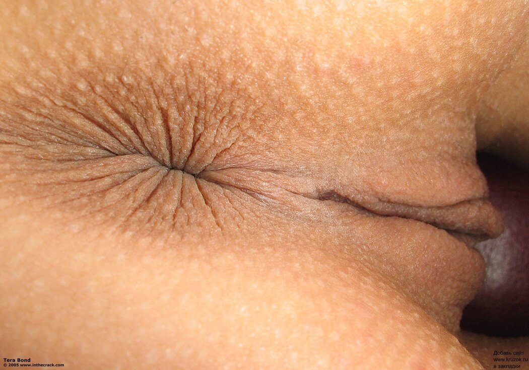 Anus Porn Close Up