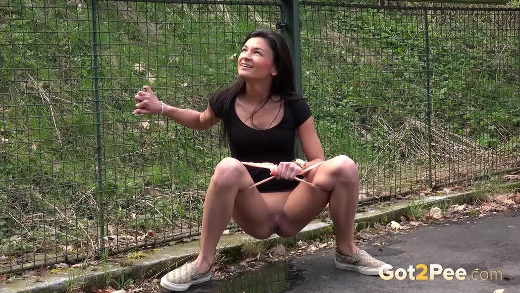 Fence Porn