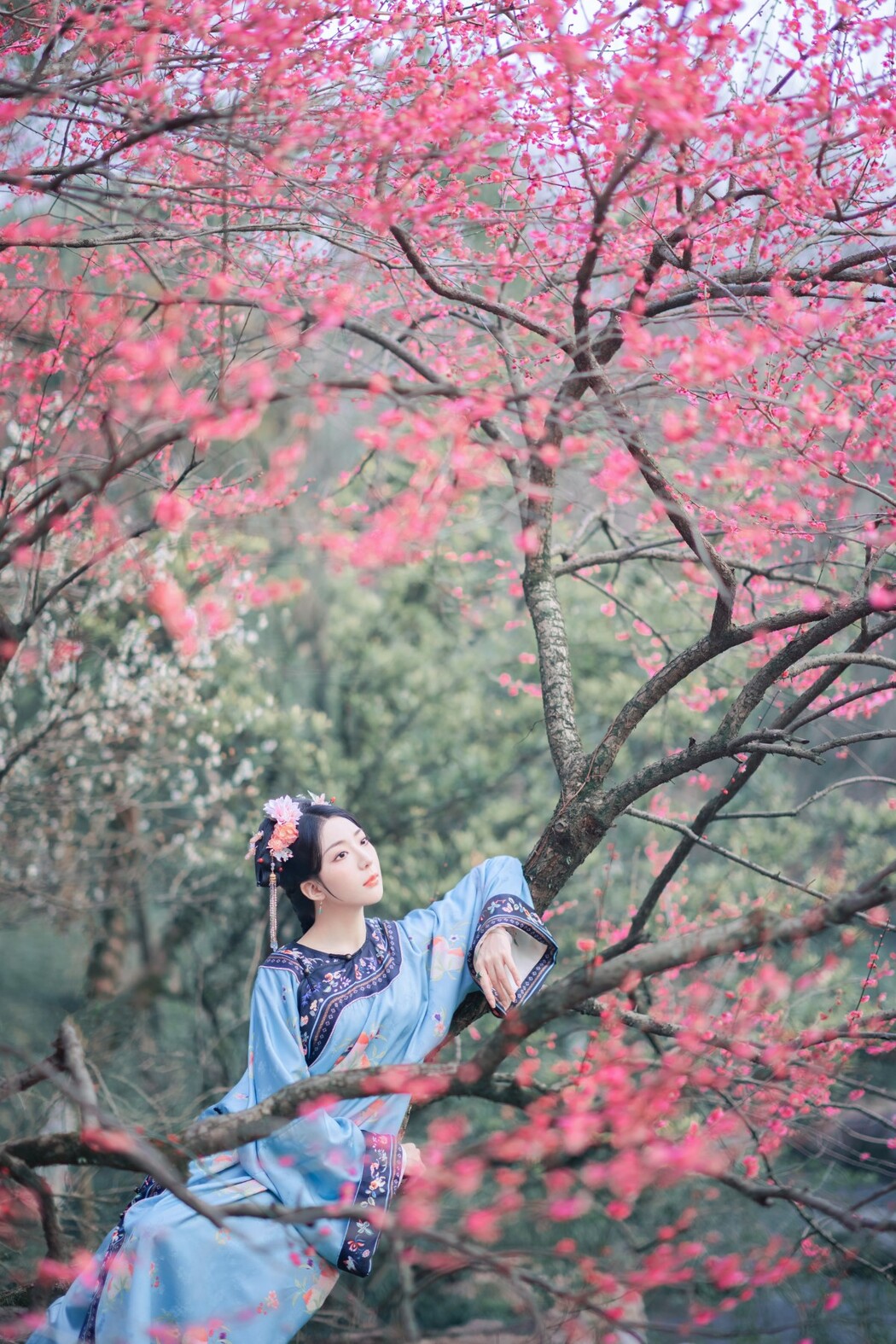 YiTuYu艺图语 Vol.1588 Shi Zhen De Nan Yuan