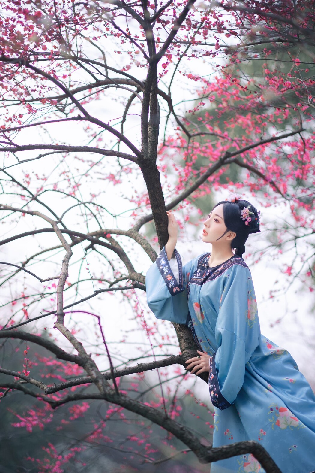 YiTuYu艺图语 Vol.1588 Shi Zhen De Nan Yuan