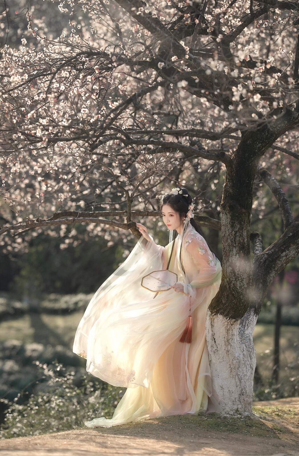 YiTuYu艺图语 Vol.1562 Xiao Wen Nuan Xiang Yao Ge Da Tai Yang