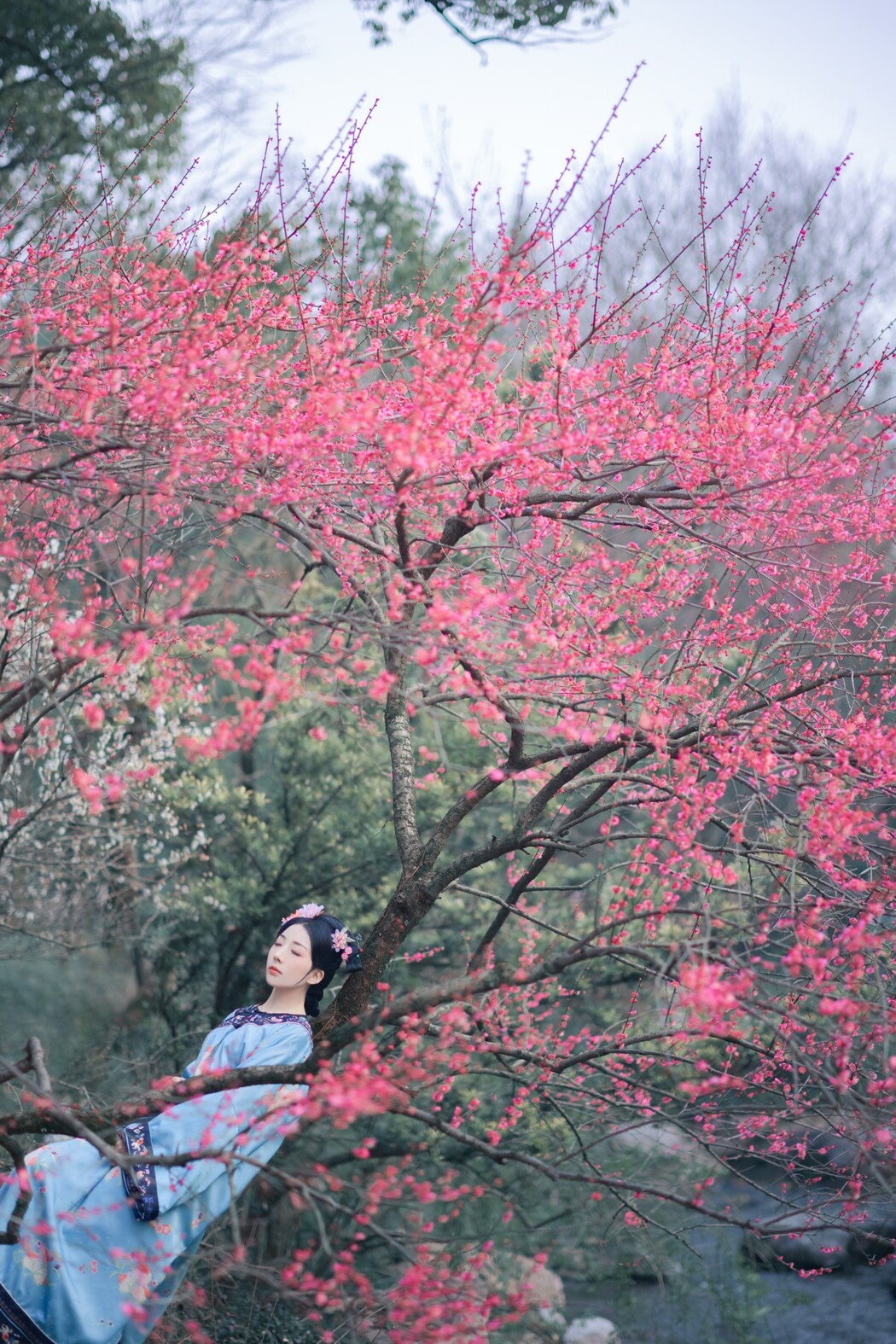 YiTuYu艺图语 Vol.1588 Shi Zhen De Nan Yuan