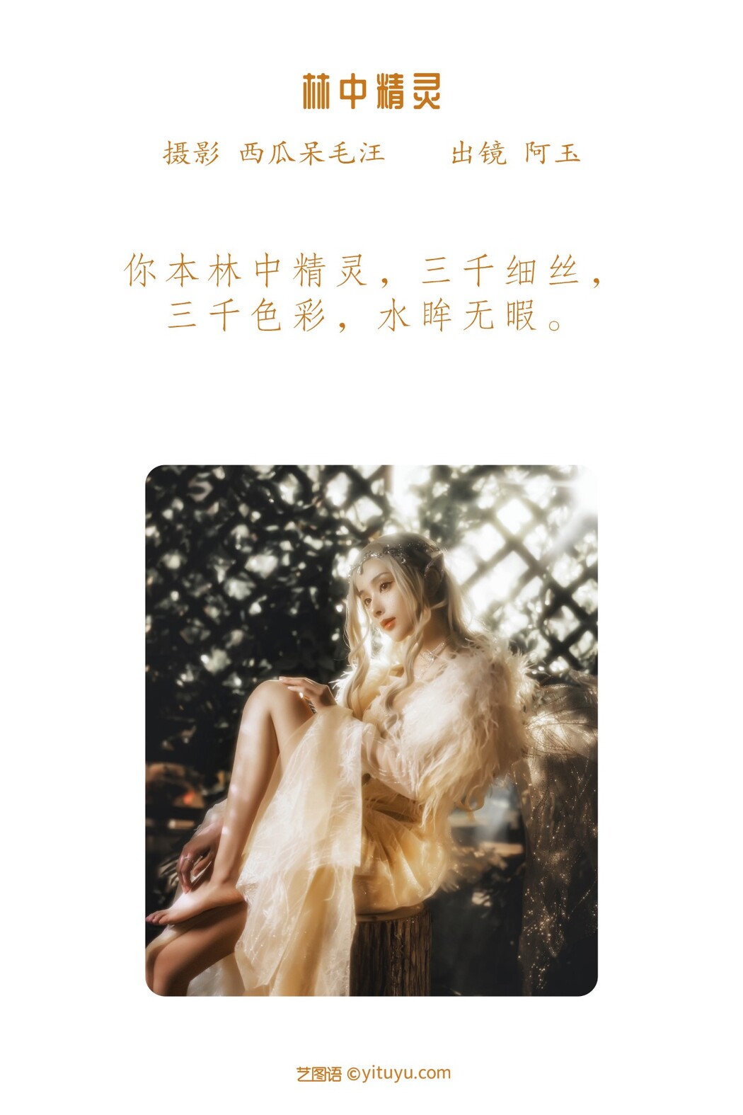 YiTuYu艺图语 Vol.1594 AAAyu A Yu