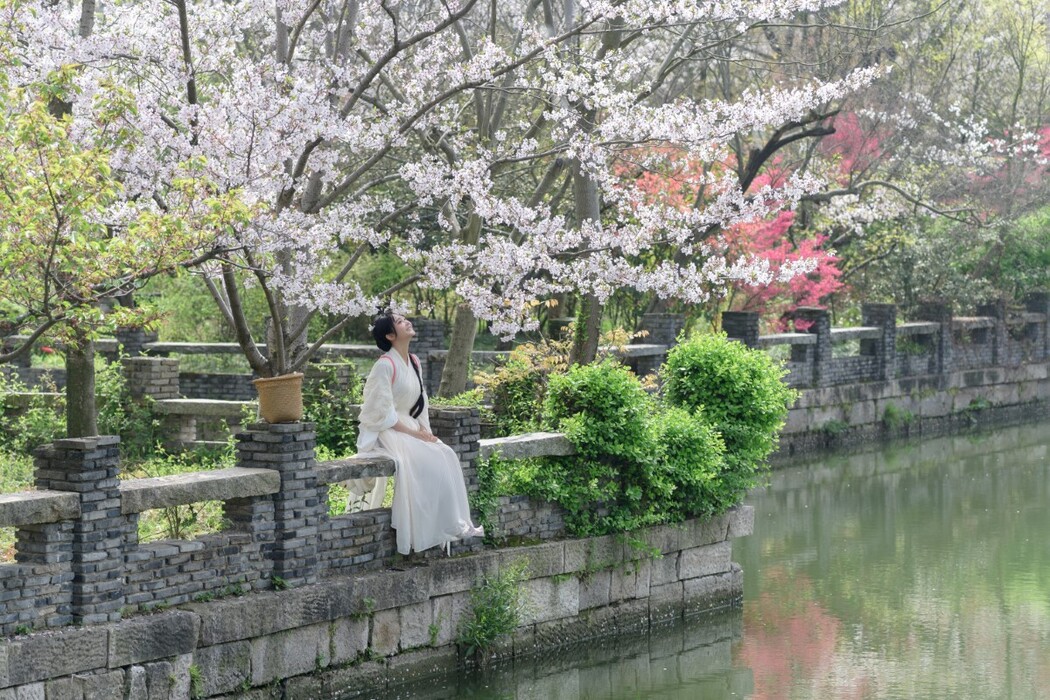 YiTuYu艺图语 Vol.1635 Yang Fu Yu