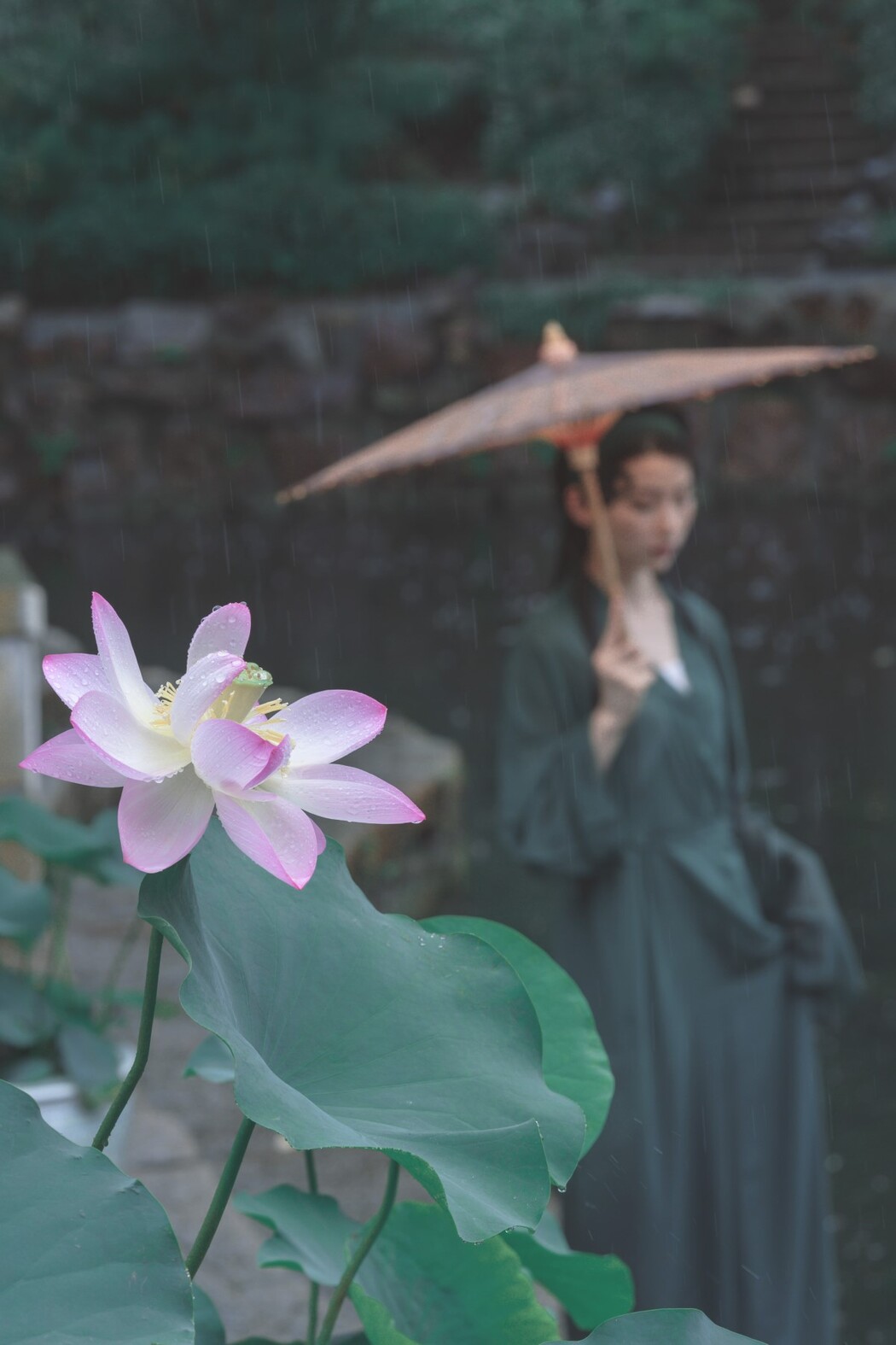 YiTuYu艺图语 Vol.1596 Hai Xing Xing seastar