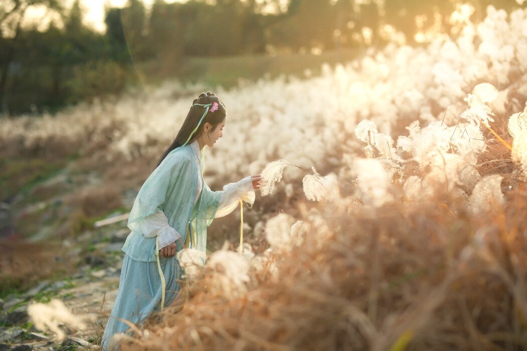 YiTuYu艺图语 Vol.1561 Ren Jian Yue-Su Chen
