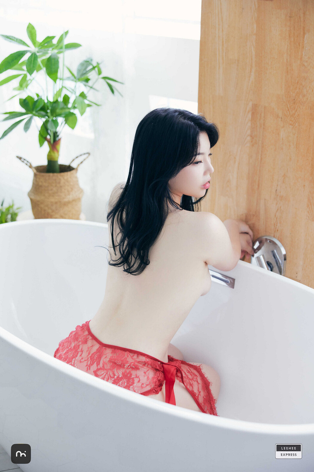 Daky 다키, LEEHEE EXPRESS LEHF-253 – EVERIA.CLUB