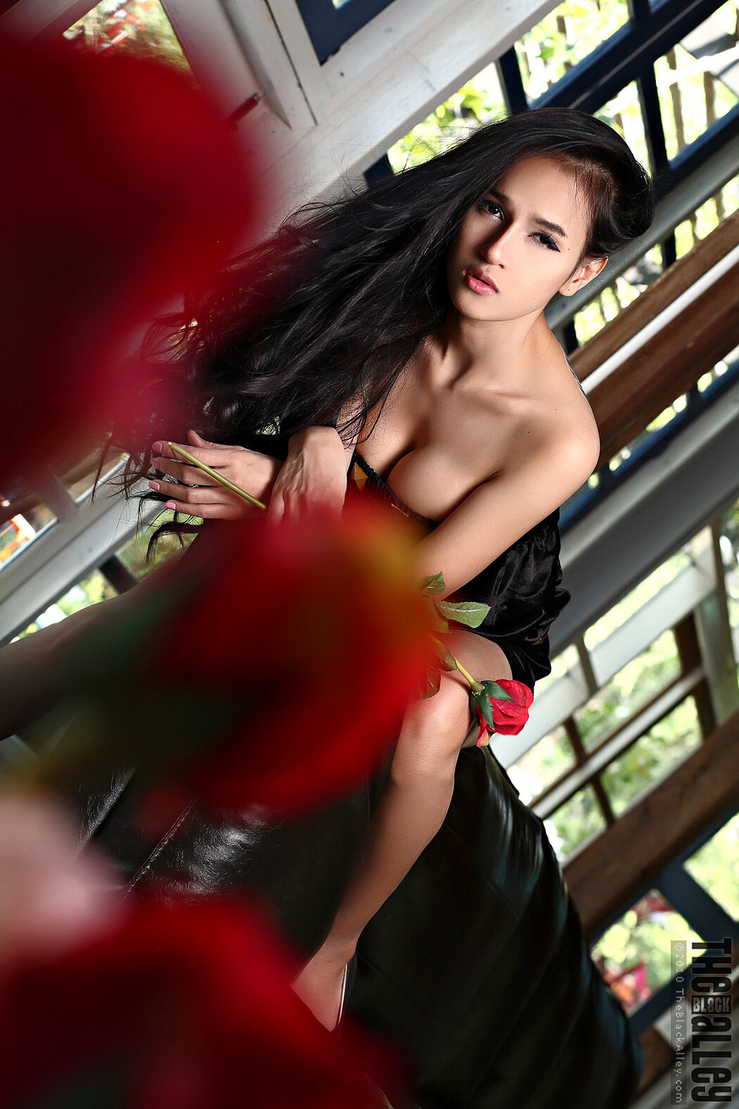 Ginny The Black Alley Photobook Set.12