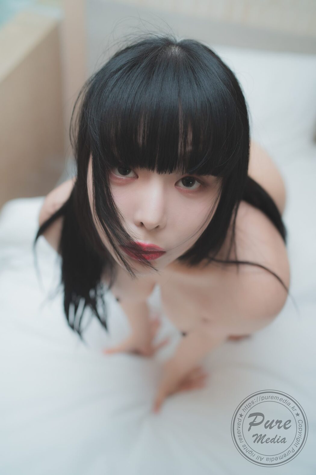 PureMedia Vol.267 Hina 히나 B
