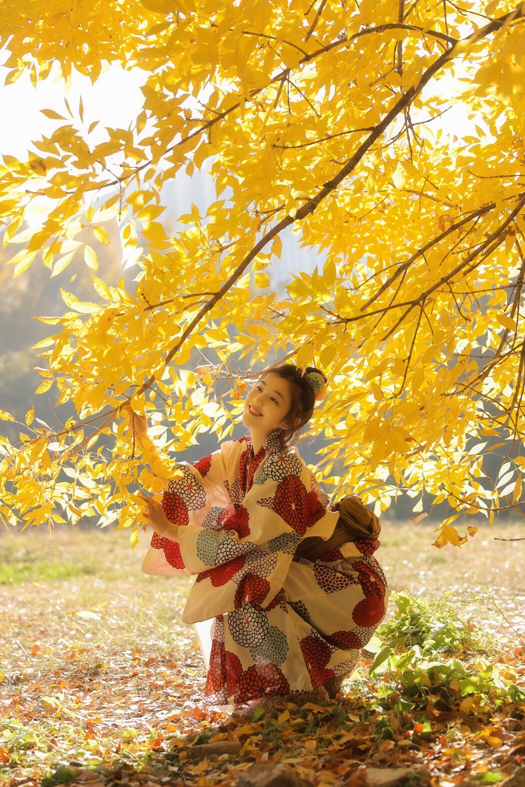 YiTuYu艺图语 Vol.1653 Fan Fan