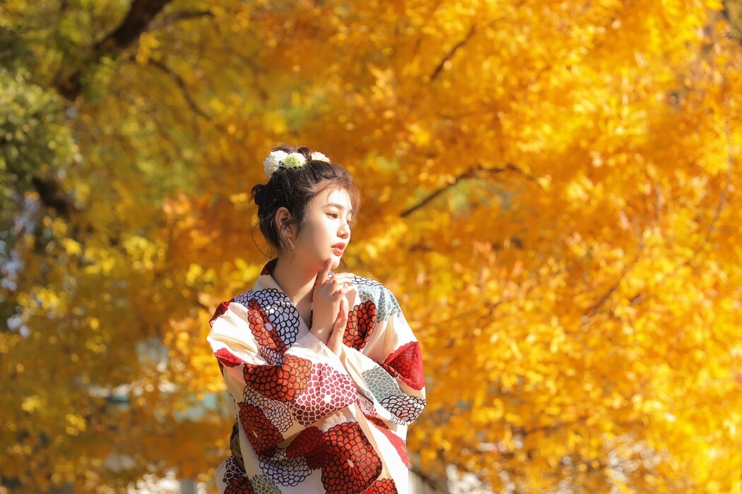 YiTuYu艺图语 Vol.1653 Fan Fan
