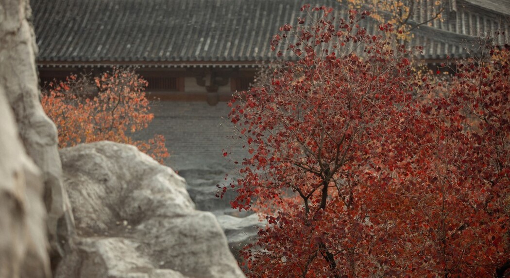 YiTuYu艺图语 Vol.1667 Luo Li Ta Da Ge