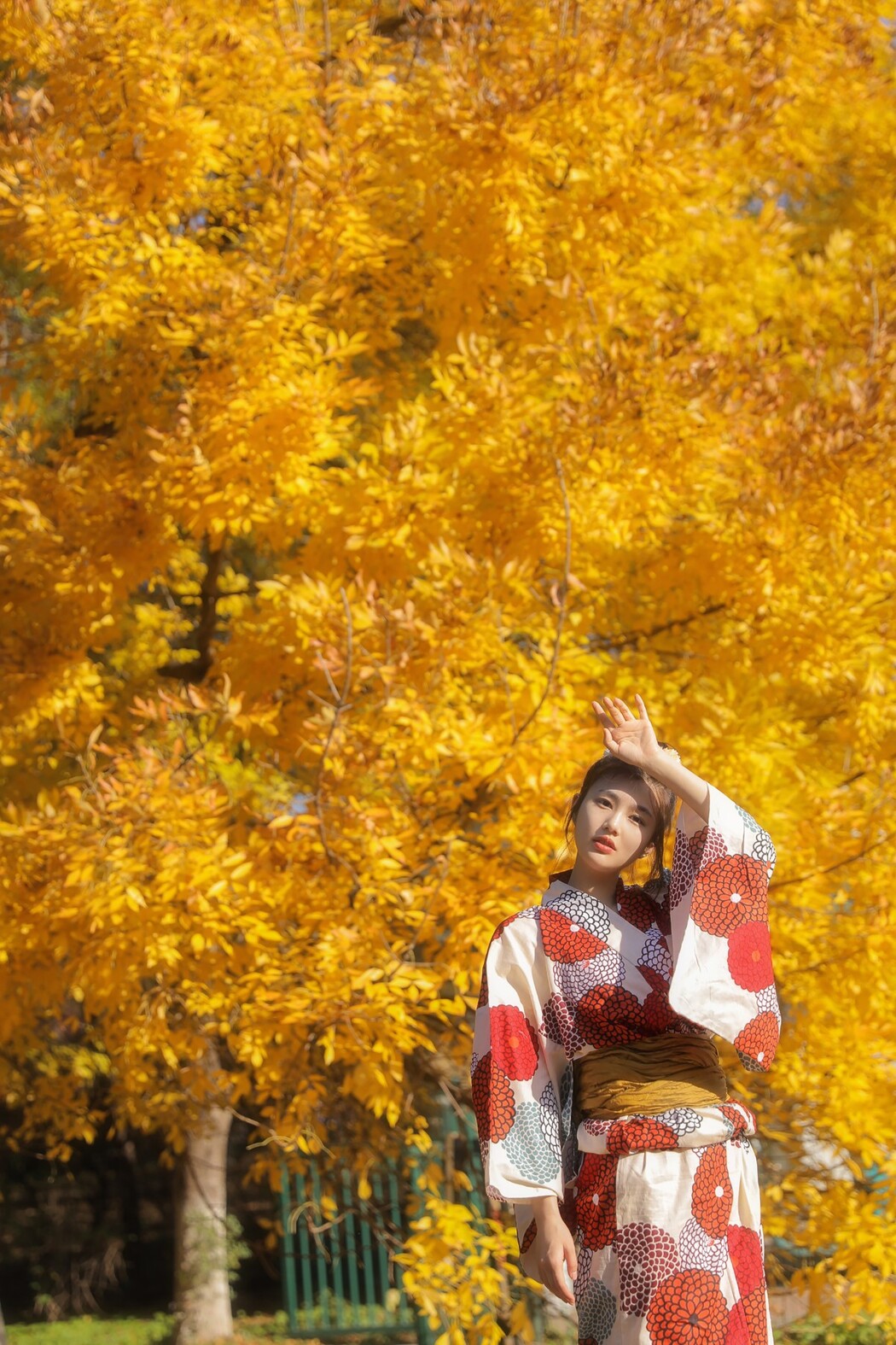 YiTuYu艺图语 Vol.1653 Fan Fan