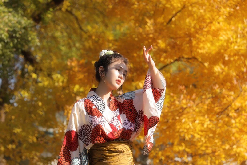 YiTuYu艺图语 Vol.1653 Fan Fan