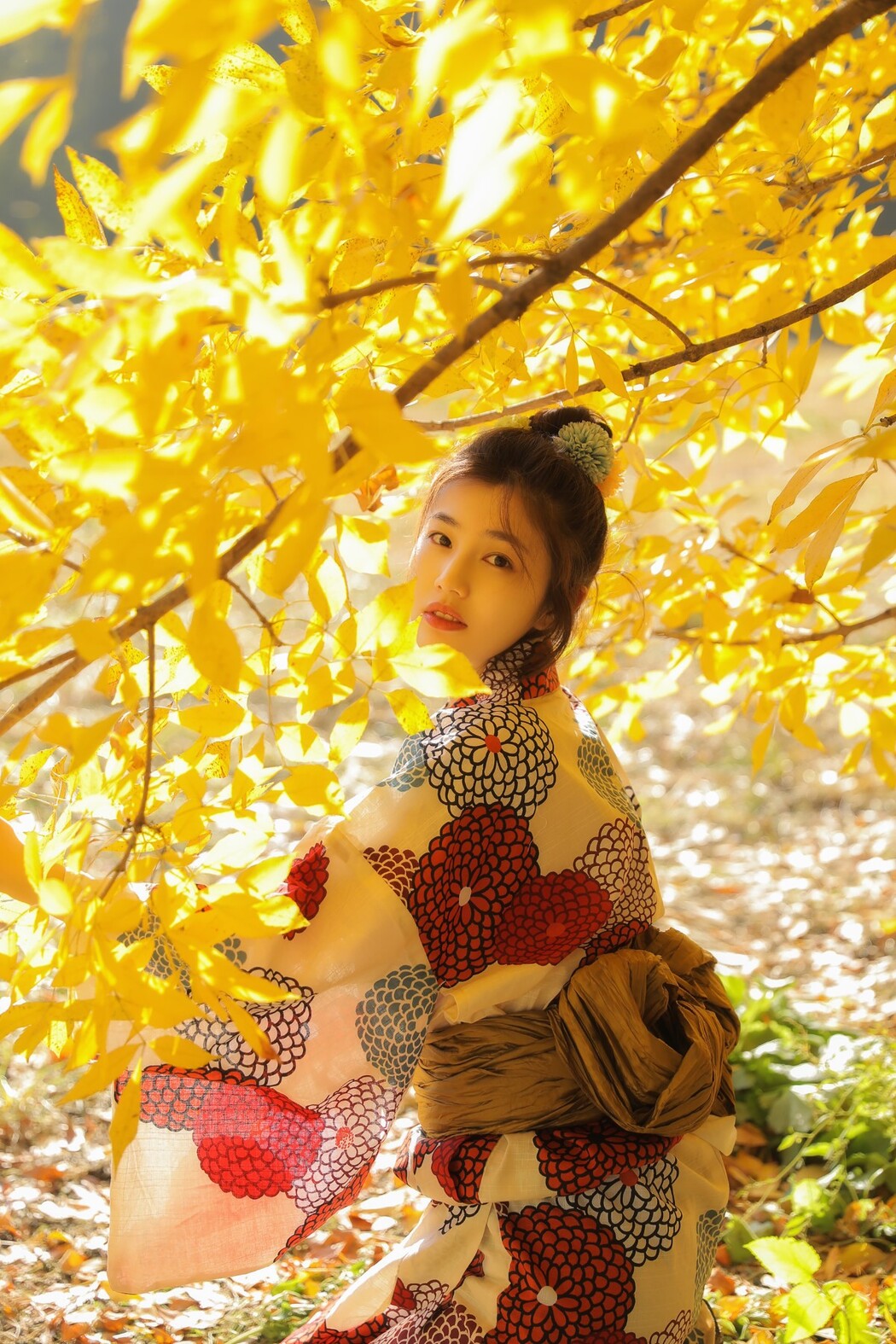 YiTuYu艺图语 Vol.1653 Fan Fan