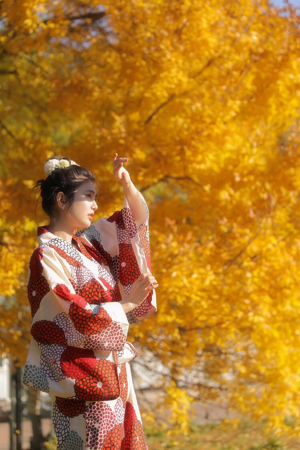 YiTuYu艺图语 Vol.1653 Fan Fan