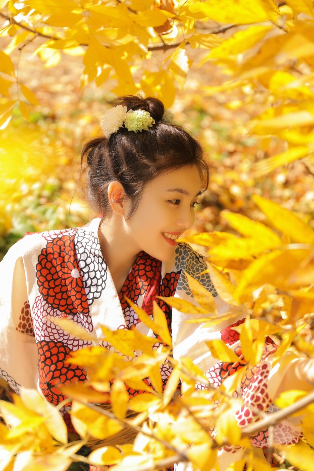 YiTuYu艺图语 Vol.1653 Fan Fan