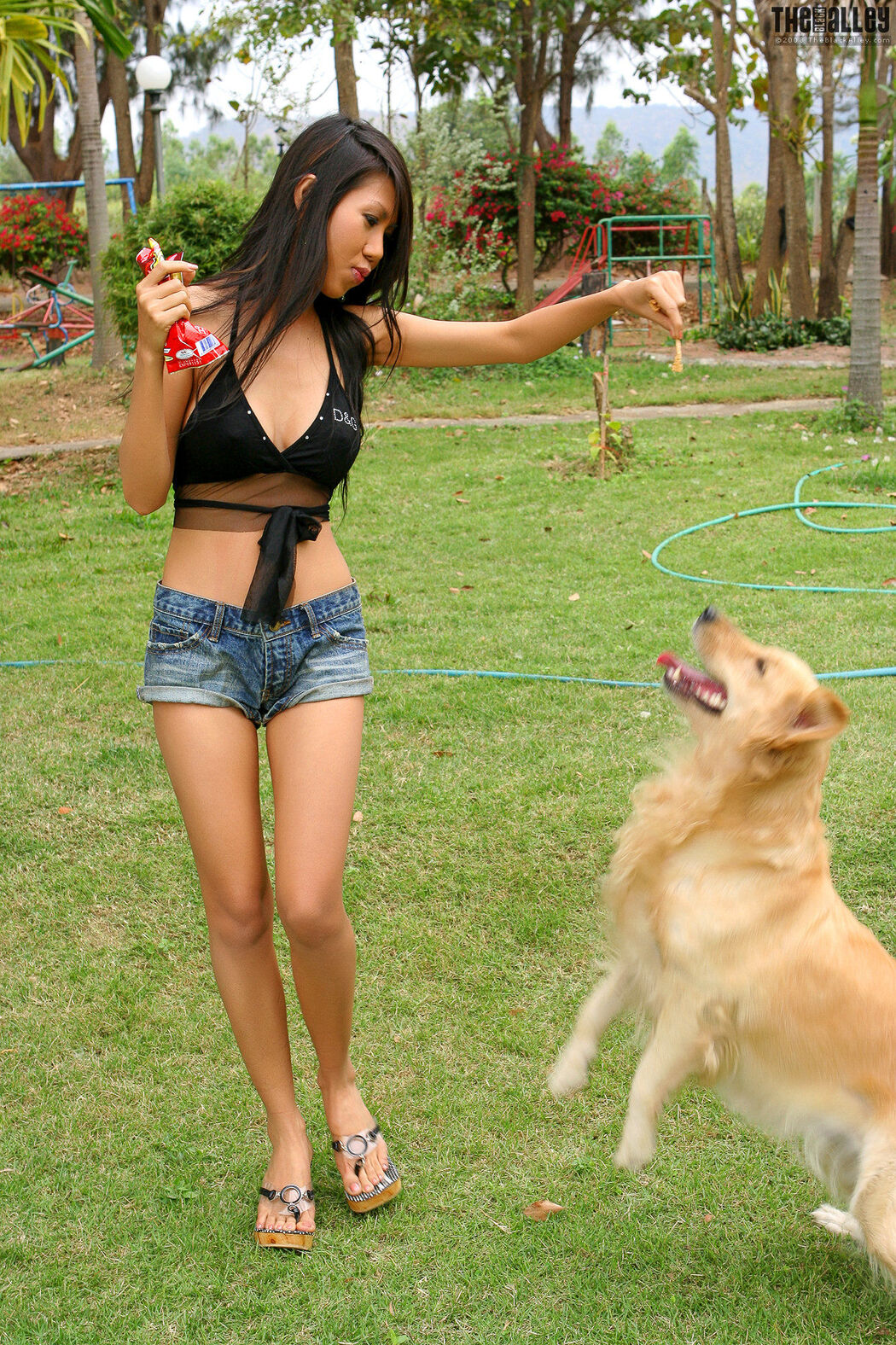 [The Black Alley] Rita Chan playing with puppies and beautiful women